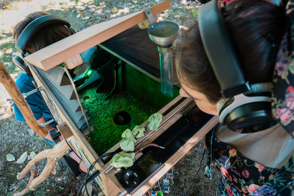 Árvore-Nuvem Árvore-Nuvem