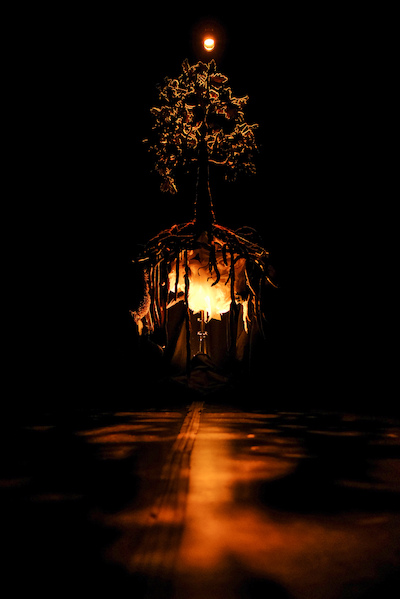 Aurora Aurora