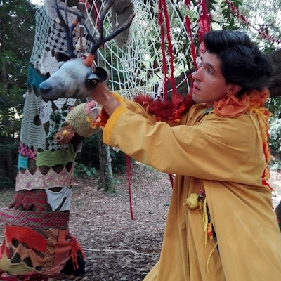 A Floresta A Floresta