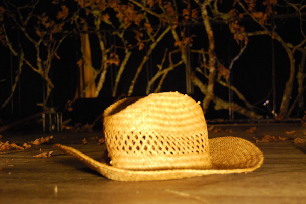 Lendas da Minha Floresta Lendas da Minha Floresta