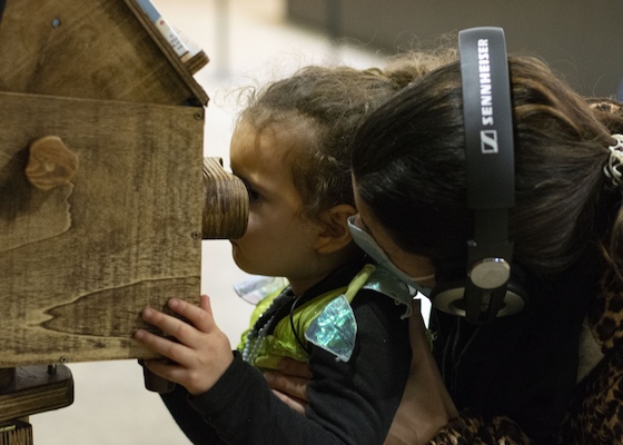 Três Desejos Três Desejos